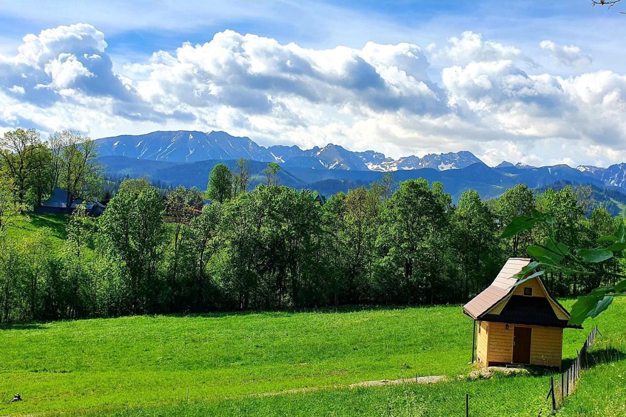 Tatrzanska Rezydencja Pod Brzyzkiem Zakopane Exterior photo